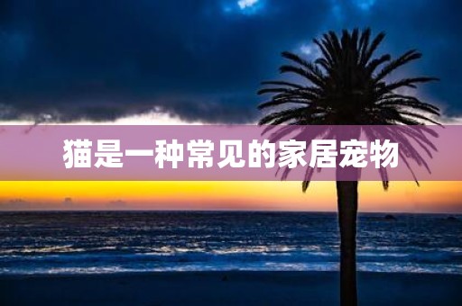 猫是一种常见的家居宠物