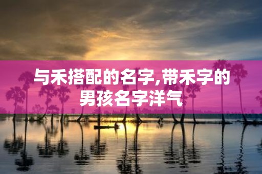 与禾搭配的名字,带禾字的男孩名字洋气