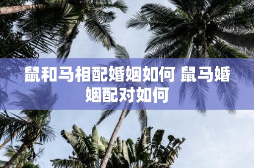 鼠和马相配婚姻如何 鼠马婚姻配对如何