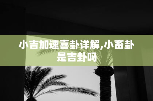 小吉加速喜卦详解,小畜卦是吉卦吗