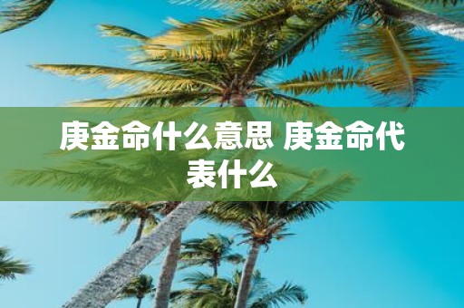 庚金命什么意思 庚金命代表什么