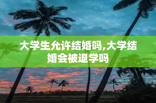 大学生允许结婚吗,大学结婚会被退学吗