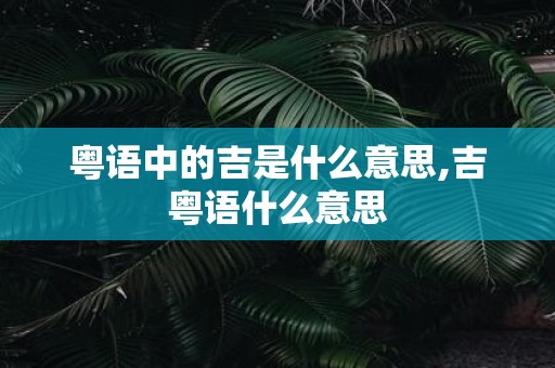 粤语中的吉是什么意思,吉粤语什么意思