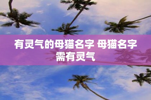 有灵气的母猫名字 母猫名字需有灵气