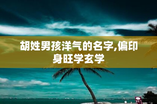 胡姓男孩洋气的名字,偏印身旺学玄学