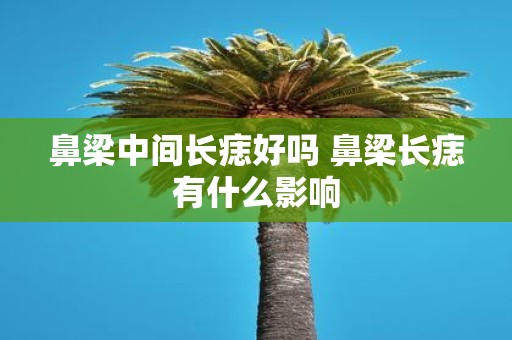 鼻梁中间长痣好吗 鼻梁长痣有什么影响