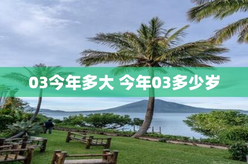03今年多大 今年03多少岁