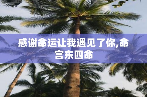 感谢命运让我遇见了你,命宫东四命