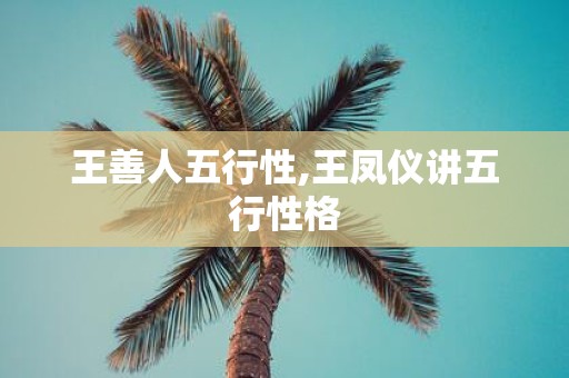 王善人五行性,王凤仪讲五行性格