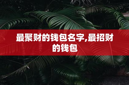 最聚财的钱包名字,最招财的钱包