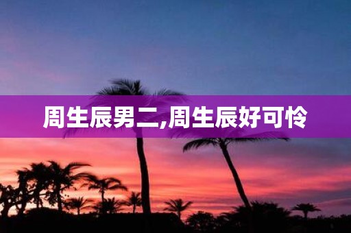 周生辰男二,周生辰好可怜