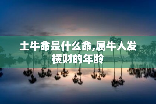 土牛命是什么命,属牛人发横财的年龄