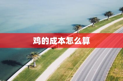 鸡的成本怎么算