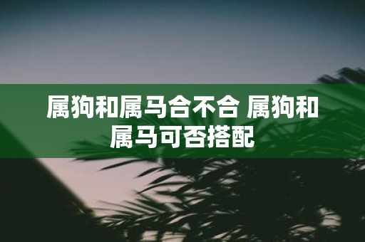 属狗和属马合不合 属狗和属马可否搭配
