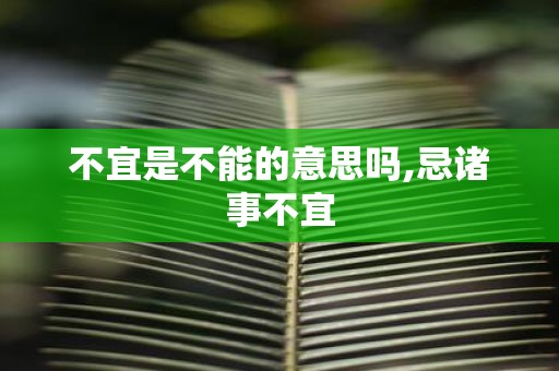 不宜是不能的意思吗,忌诸事不宜