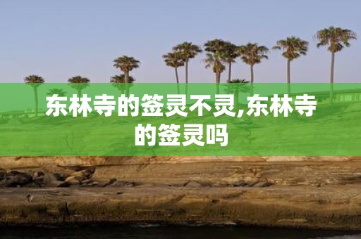 东林寺的签灵不灵,东林寺的签灵吗