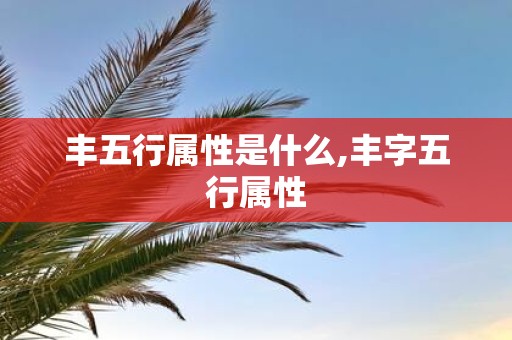 丰五行属性是什么,丰字五行属性