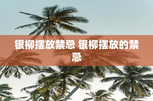 银柳摆放禁忌 银柳摆放的禁忌