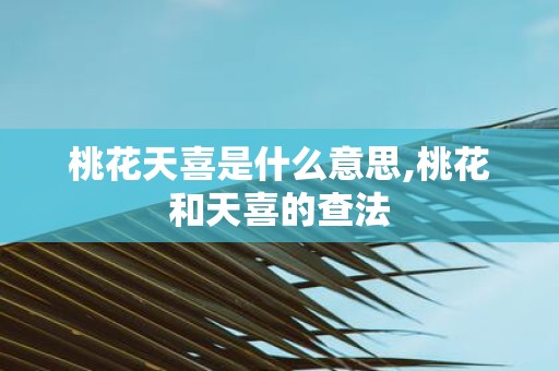 桃花天喜是什么意思,桃花和天喜的查法
