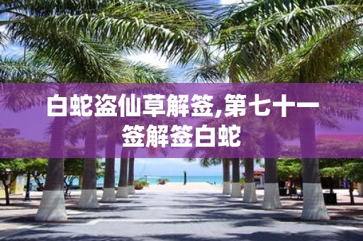 白蛇盗仙草解签,第七十一签解签白蛇