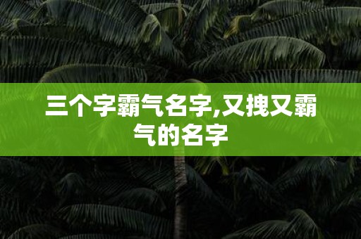 三个字霸气名字,又拽又霸气的名字