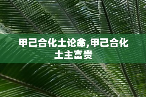 甲己合化土论命,甲己合化土主富贵