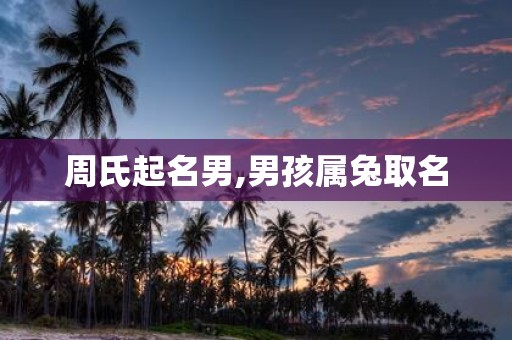 周氏起名男,男孩属兔取名