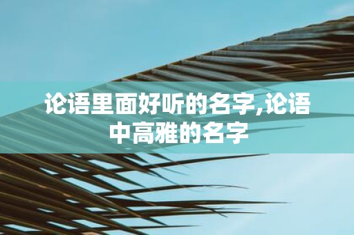 论语里面好听的名字,论语中高雅的名字