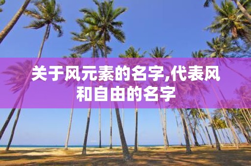 关于风元素的名字,代表风和自由的名字