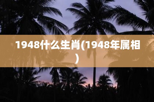1948什么生肖(1948年属相)