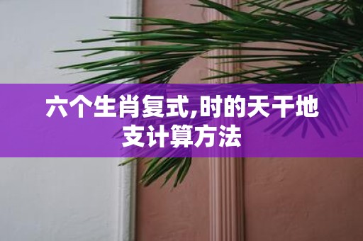 六个生肖复式,时的天干地支计算方法