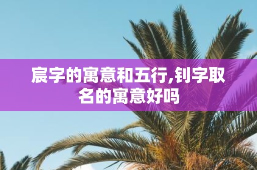 宸字的寓意和五行,钊字取名的寓意好吗