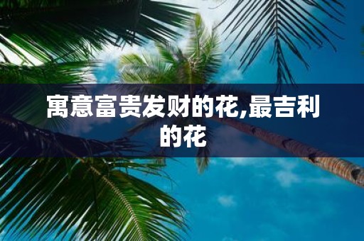 寓意富贵发财的花,最吉利的花