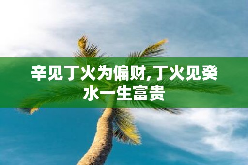 辛见丁火为偏财,丁火见癸水一生富贵