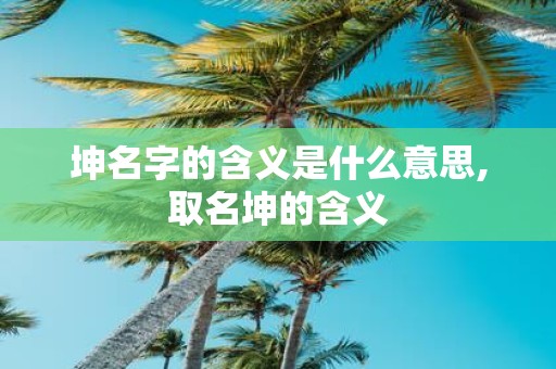 坤名字的含义是什么意思,取名坤的含义
