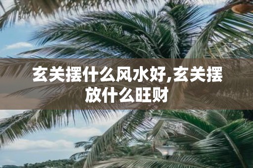 玄关摆什么风水好,玄关摆放什么旺财