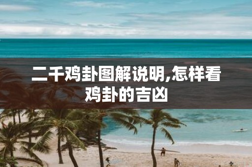 二千鸡卦图解说明,怎样看鸡卦的吉凶