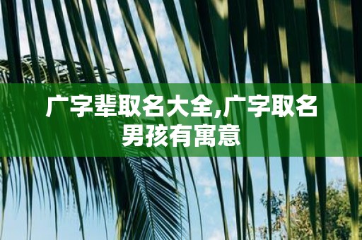 广字辈取名大全,广字取名男孩有寓意