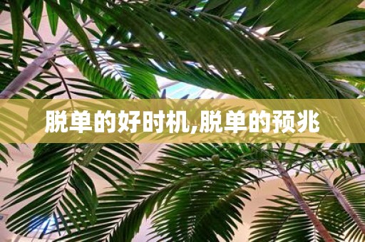 脱单的好时机,脱单的预兆
