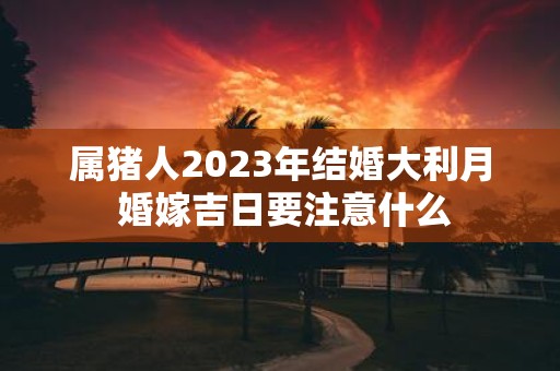 属猪人2025年结婚大利月 婚嫁吉日要注意什么