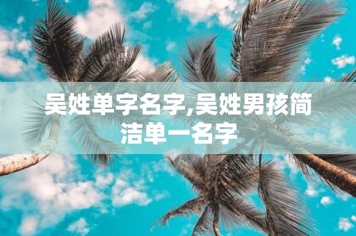 吴姓单字名字,吴姓男孩简洁单一名字