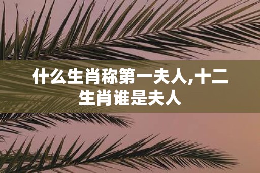 什么生肖称第一夫人,十二生肖谁是夫人