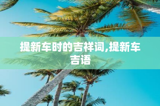 提新车时的吉祥词,提新车吉语