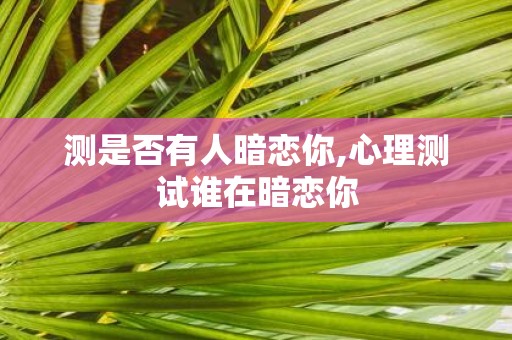 测是否有人暗恋你,心理测试谁在暗恋你