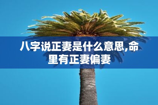 八字说正妻是什么意思,命里有正妻偏妻