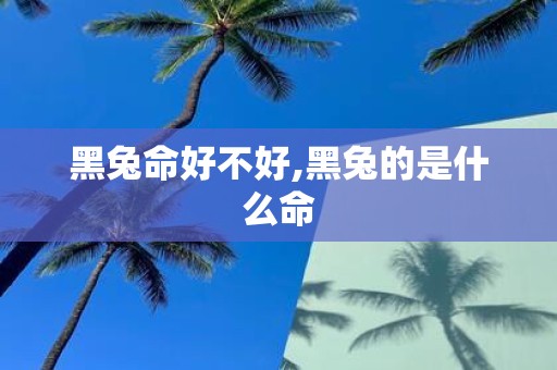 黑兔命好不好,黑兔的是什么命