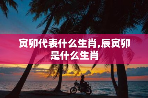 寅卯代表什么生肖,辰寅卯是什么生肖