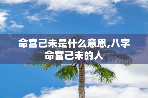 命宫己未是什么意思,八字命宫己未的人