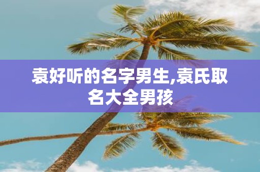袁好听的名字男生,袁氏取名大全男孩