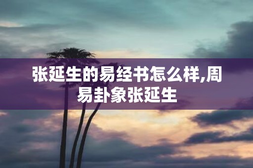 张延生的易经书怎么样,周易卦象张延生